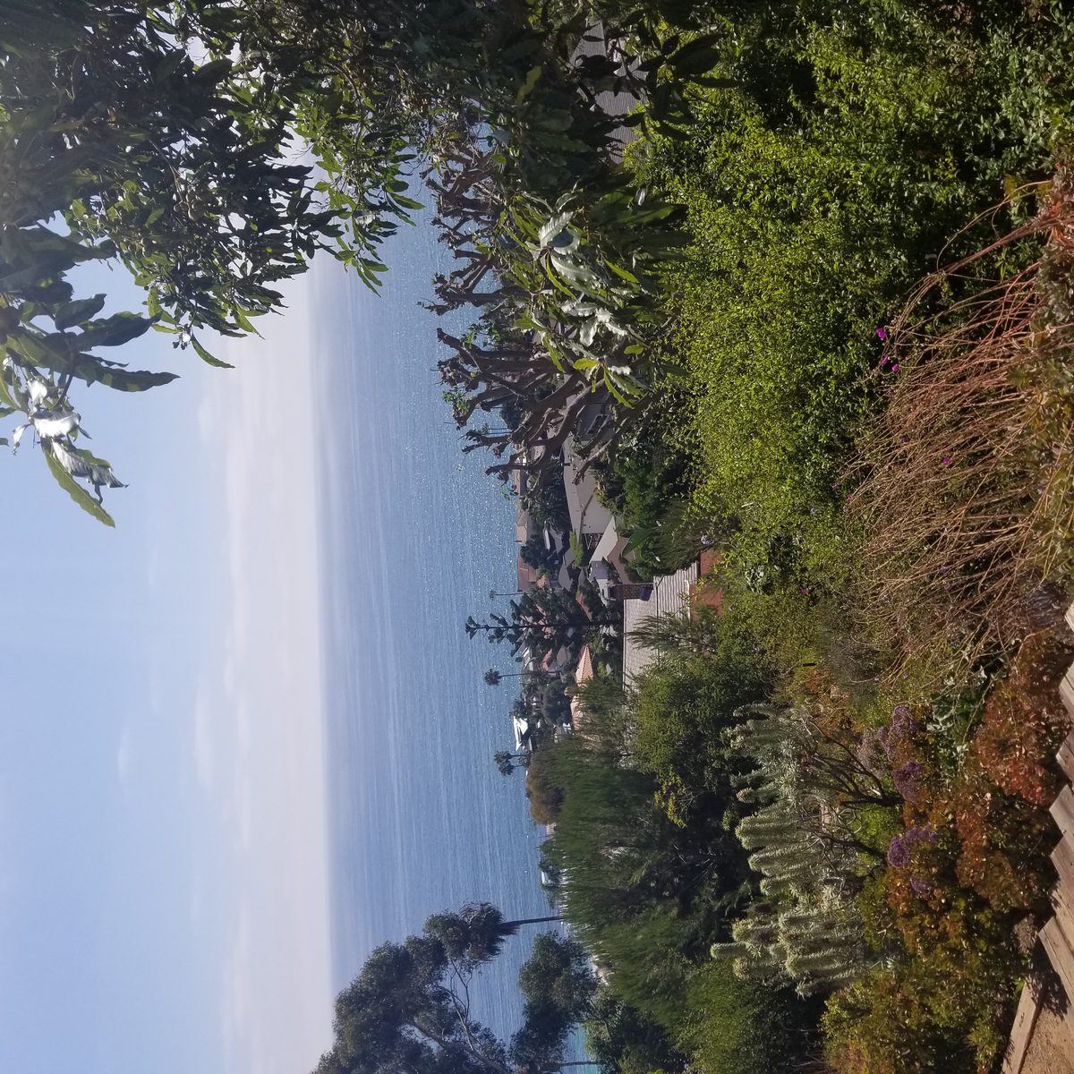 Repipe project photo - Laguna Beach, CA home pipes before or after replacement by Repipe OC