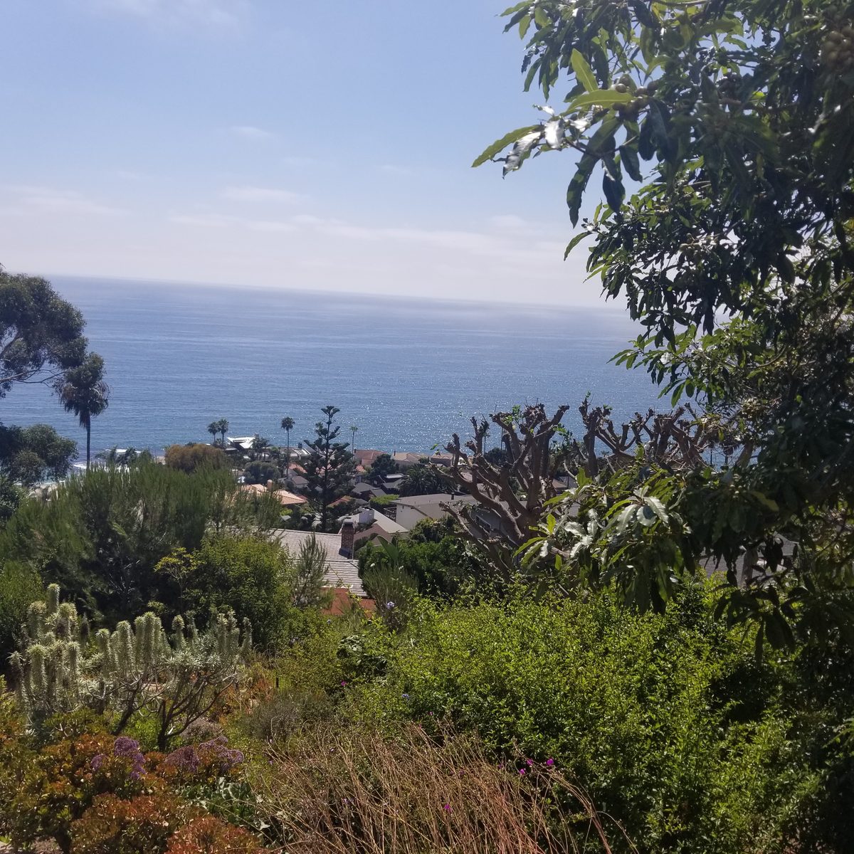 Repipe project photo - Laguna Beach, CA home pipes before or after replacement by Repipe OC